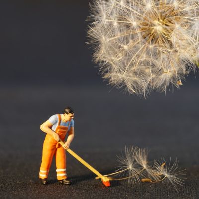 shallow-focus-photo-of-man-holding-floor-brush-ceramic-434163